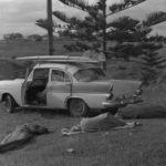 Free-camping-near-Oxley-Beach-1960s