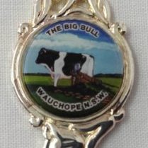 Souvenir-Teaspoon-Big-Bull-Wauchope--1990s